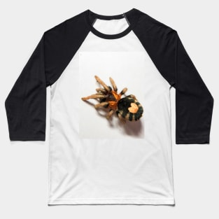 Cyriocosmus Elegans Tarantula Baseball T-Shirt